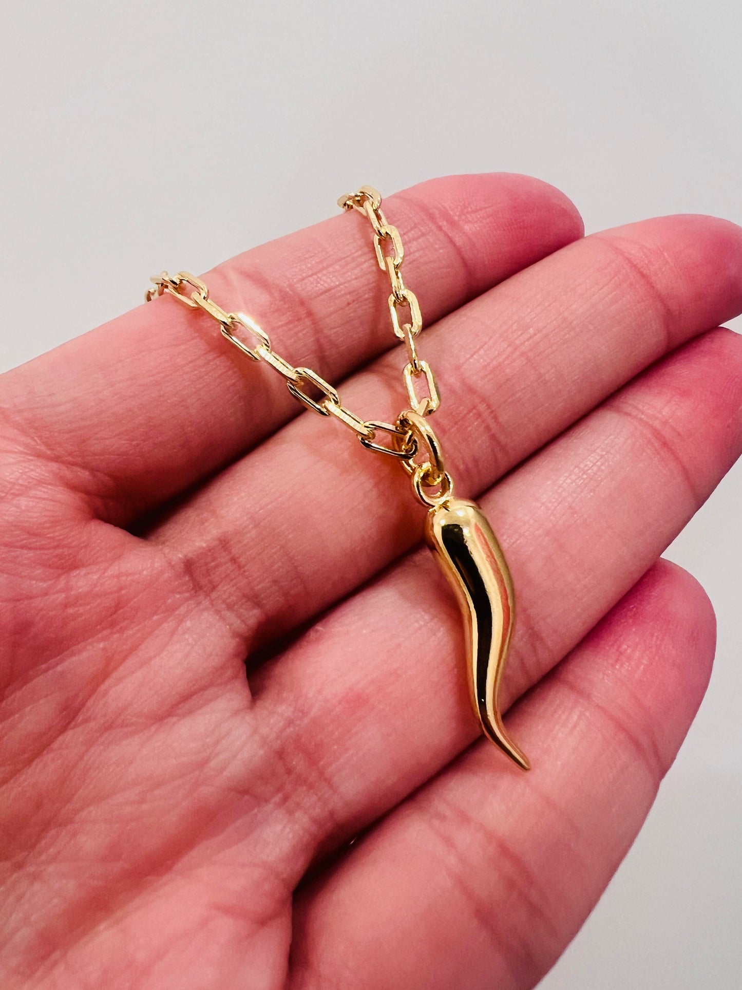 Gold Filled Cornicello Necklace | 18kt Charm on 16–18 Inch