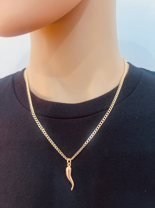 Gold Filled Curb Chain Necklace | Cornicello Charm 20–24