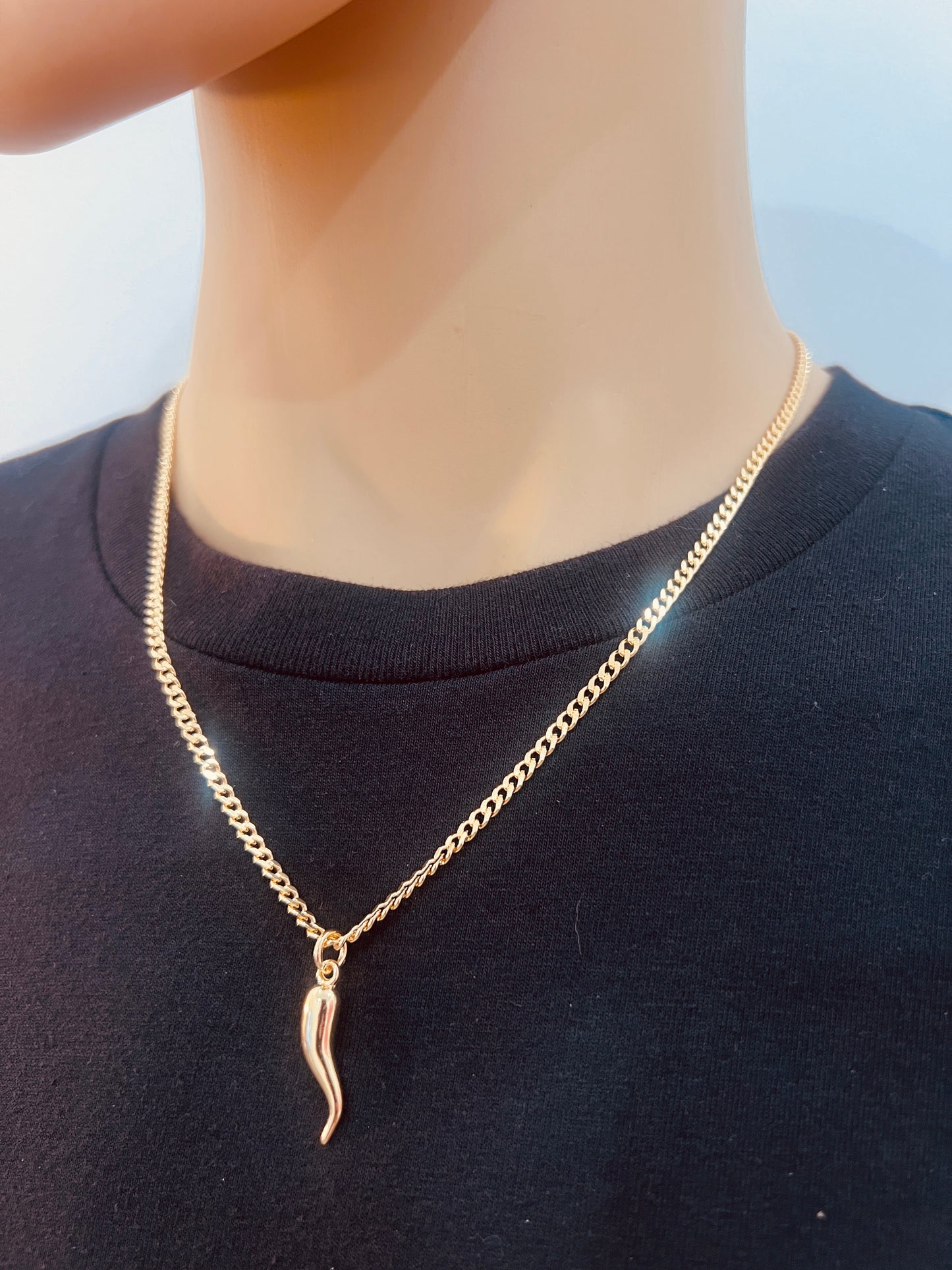 Gold Filled Curb Chain Necklace | Cornicello Charm 20–24