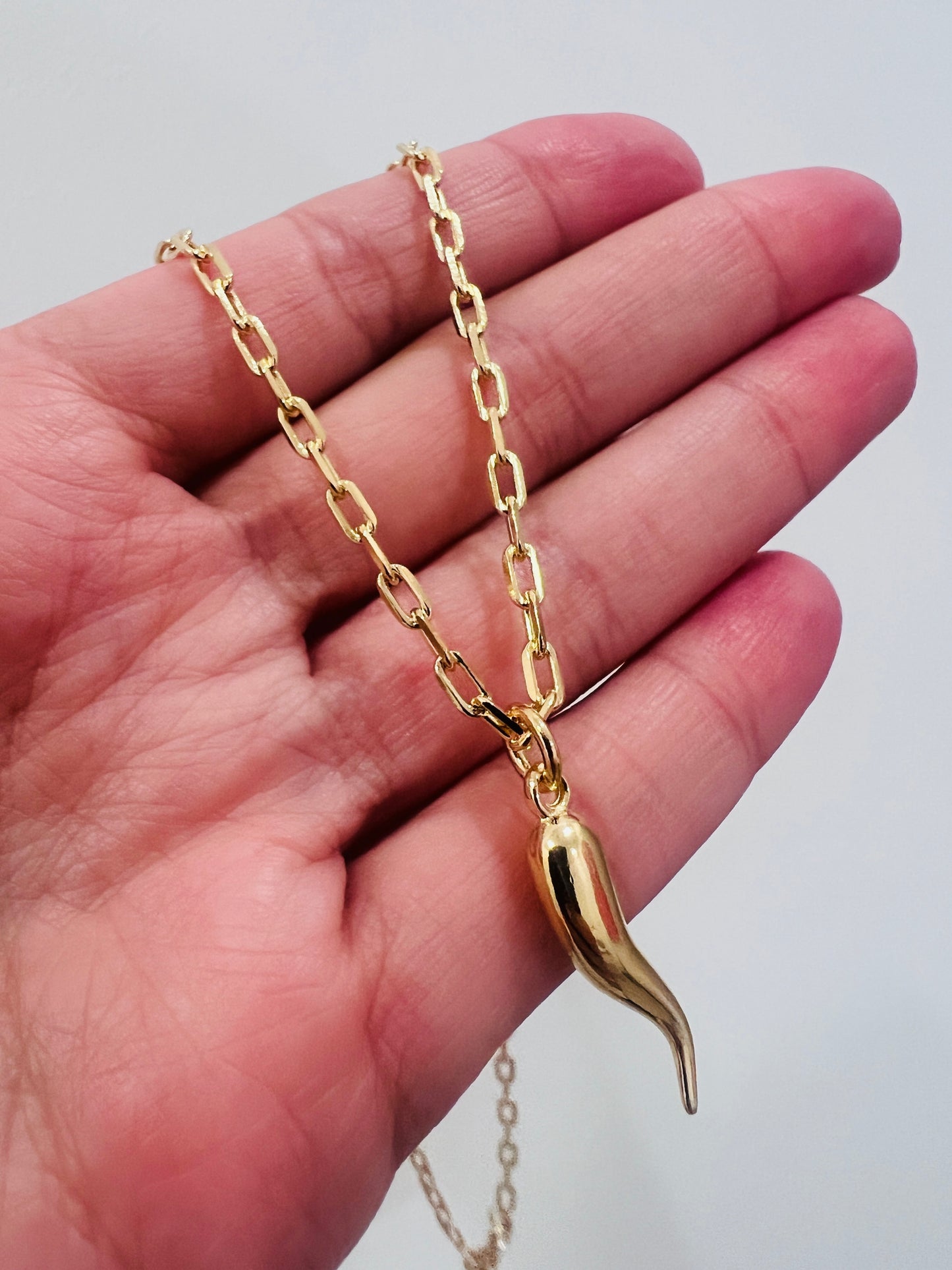 Gold Filled Cornicello Necklace | 18kt Charm on 16–18 Inch
