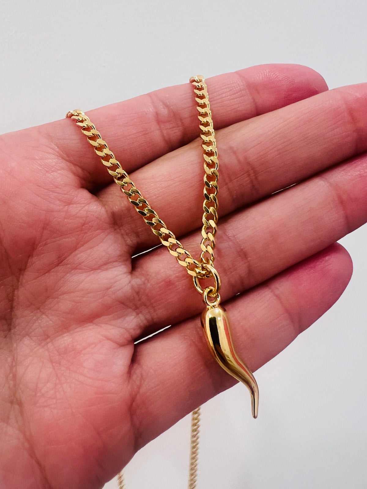 18KT Gold Filled Men's Chains, Gold Filled Curb Chain Necklace | Cornicello Charm 20–24 by HAUS OF MONOGRAM