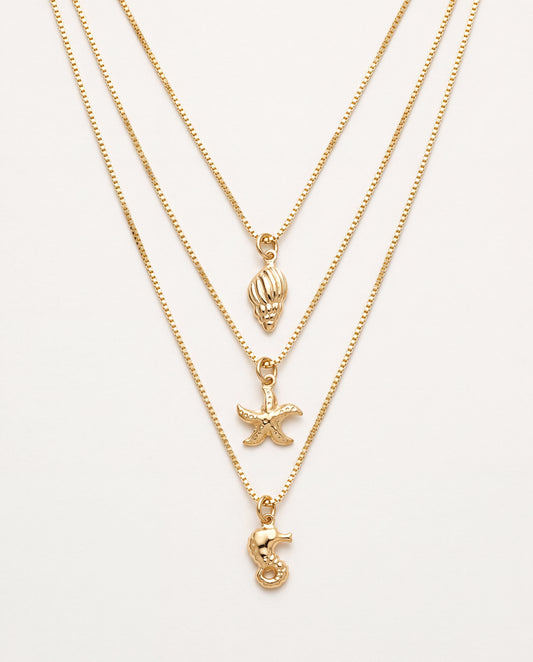 18KT Gold Filled Necklaces, Gold Filled Triple Layered Seashell Charm Necklace by HAUS OF MONOGRAM